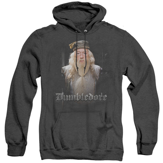 Harry Potter Dumble Doors Mens Heather Hoodie Black Officially Licensed