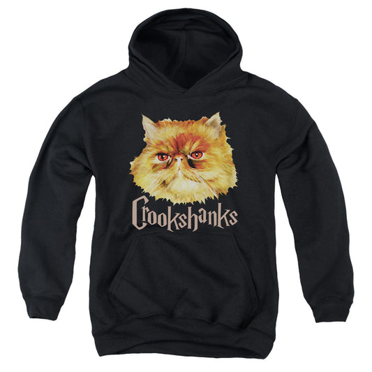 Harry Potter Crookshanks Color Kids Youth Hoodie Black Officially Licensed