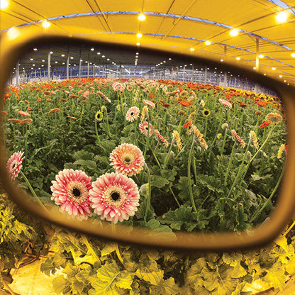 Resistance 2 HPS Crystal Classic | Grow Room Glasses