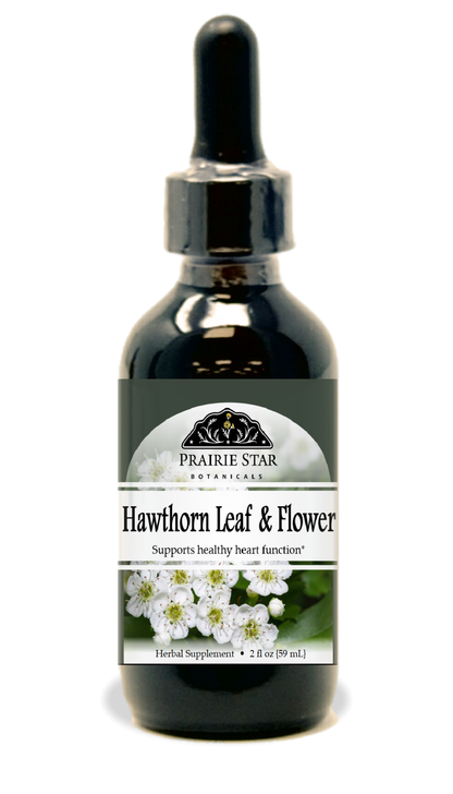 Hawthorn