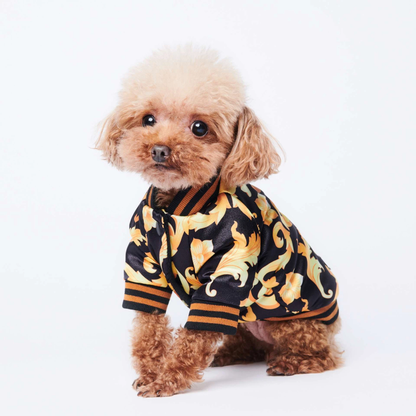 Luxury Bomber Jacket