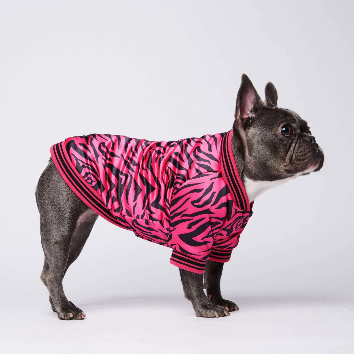 Luxury Bomber Jacket