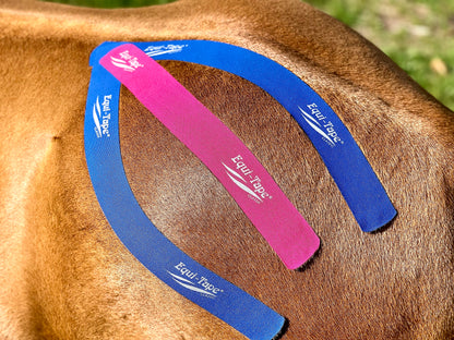 The Fundamentals of Equi-Taping® Online Course