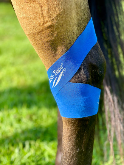 Equi-Tape® Fundamentals Course & Module Bundle