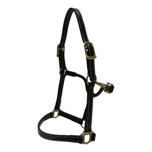Huntley Equestrian Fancy Stitched Adjustable Premium Leather Pony Halter with Brass Hardware