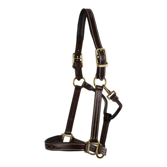 Huntley Equestrian Fancy Stitched Premium Leather Padded Halter
