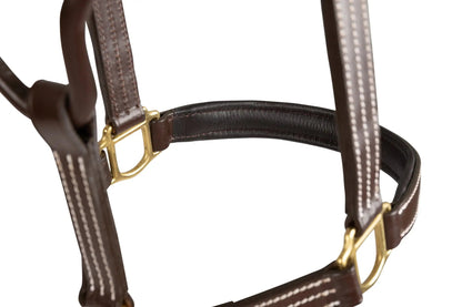 Huntley Equestrian Fancy Stitched Premium Leather Padded Halter