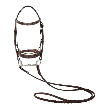Huntley Equestrian Fancy Stitched Sedgwick Leather Padded Bridle with Reins