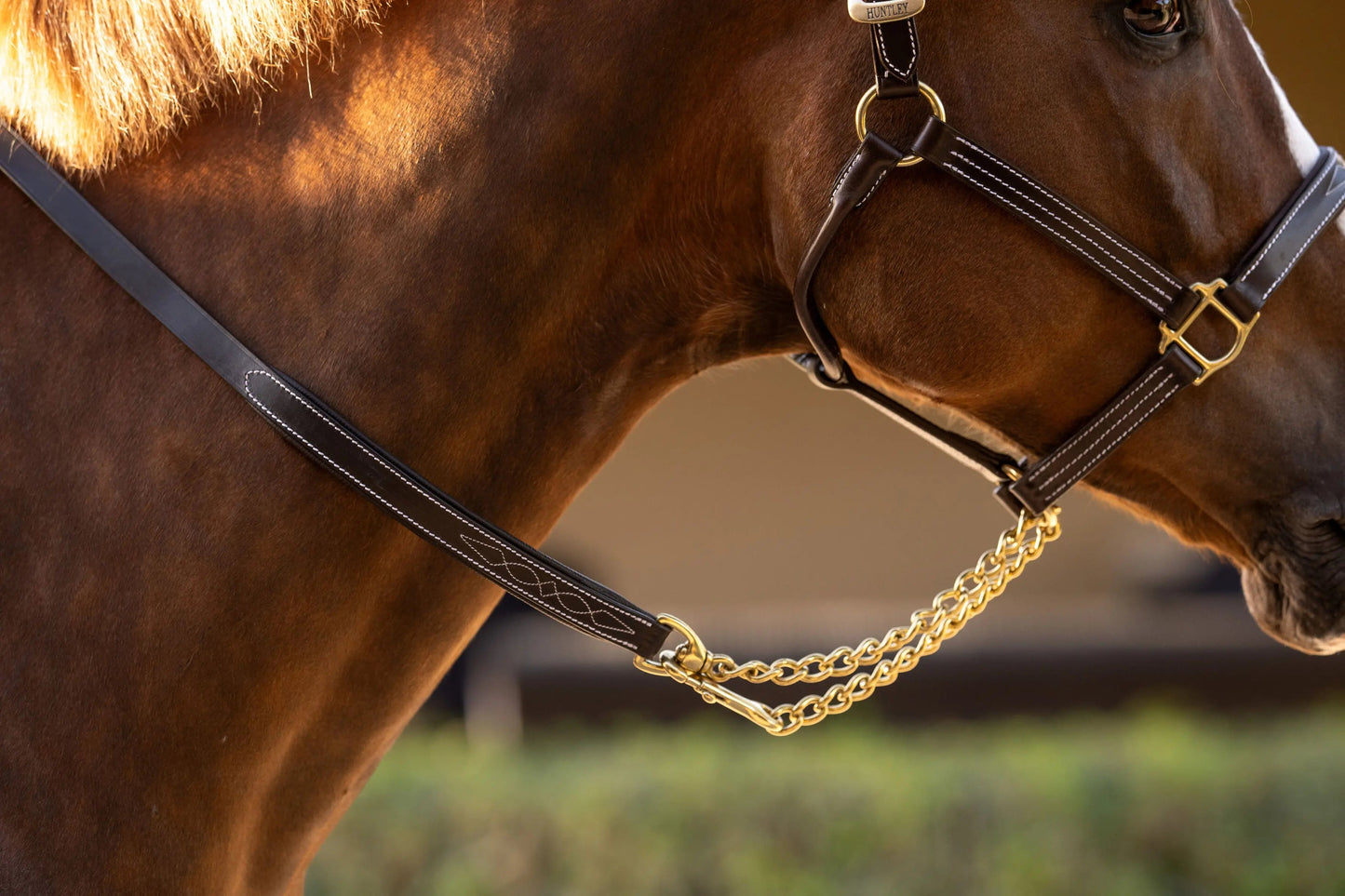 Huntley Equestrian Leather Lead with Brass Chain