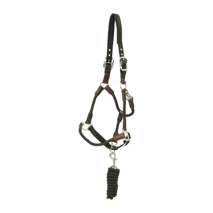 Huntley Nylon Halter and Removable Lead with Snap, Black