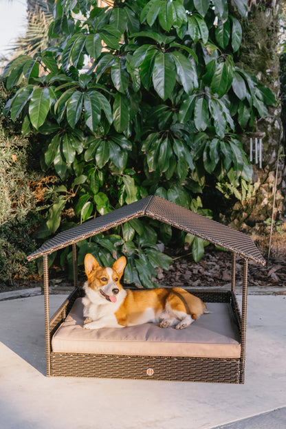 Huntley Pet Rattan Wicker Indoor Outdoor Cabana Raised Pet Bed