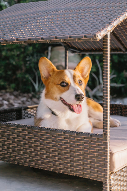 Huntley Pet Rattan Wicker Indoor Outdoor Cabana Raised Pet Bed