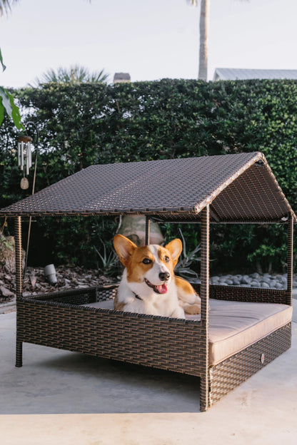 Huntley Pet Rattan Wicker Indoor Outdoor Cabana Raised Pet Bed