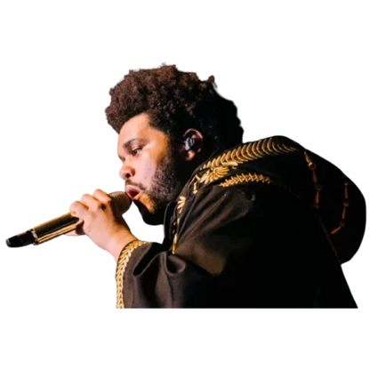Hurry Up Tomorrow The Weeknd Golden Embroidered Hooded Coat