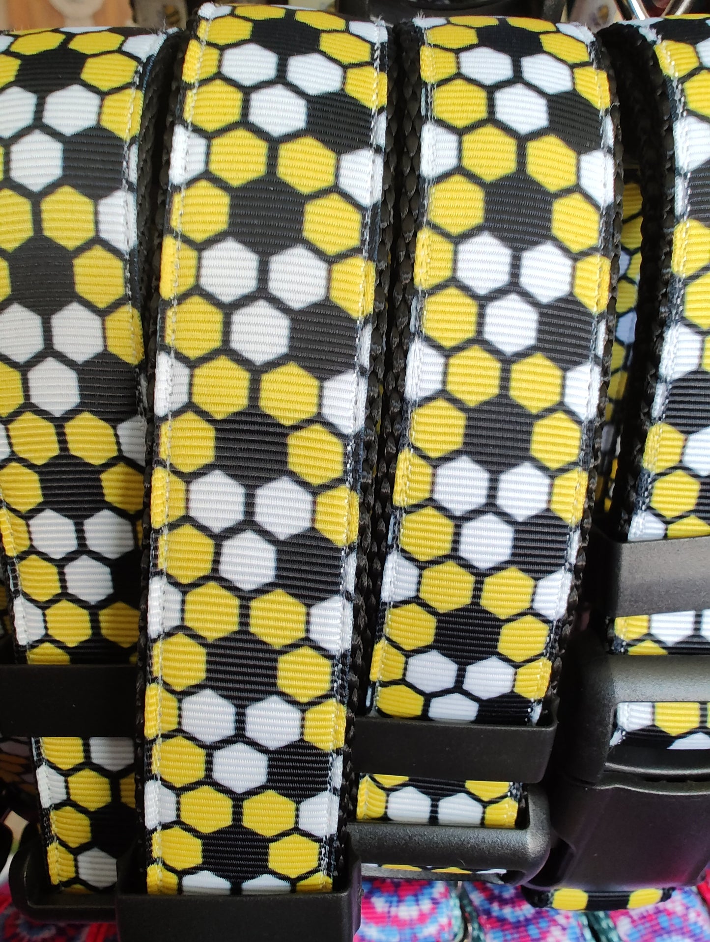 Beehive Black Nylon Dog Collar MD, LG, XL, Leash