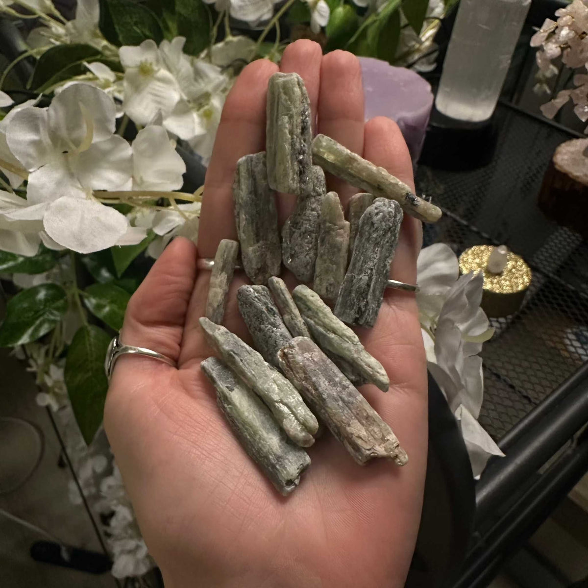 Green Kyanite Shards