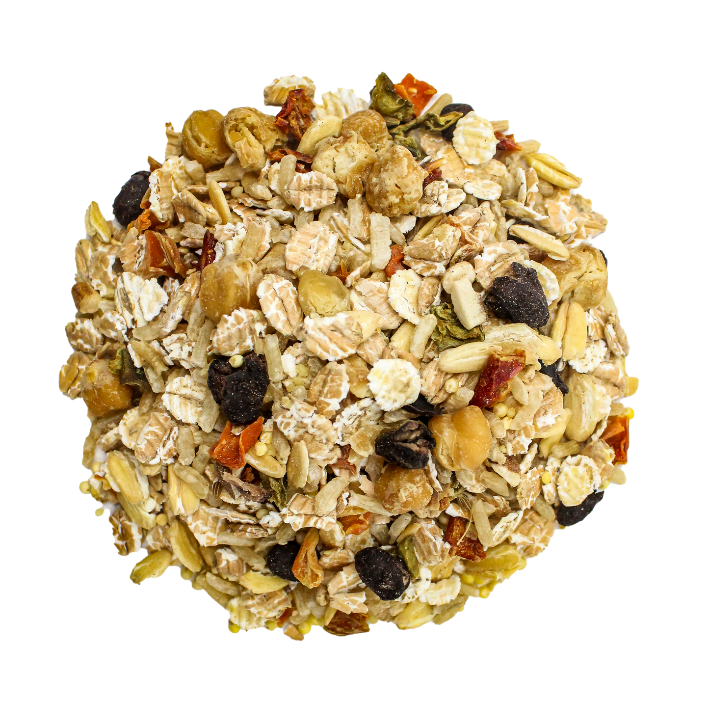 Bean Bistro Feast on the Fly - Triathlete Store