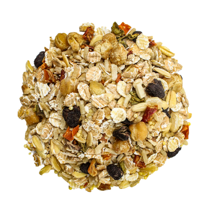 Bean Bistro Feast on the Fly - Triathlete Store