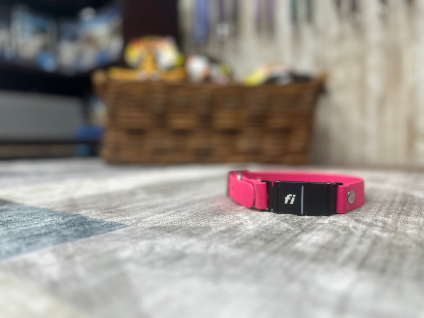 Fi Collar