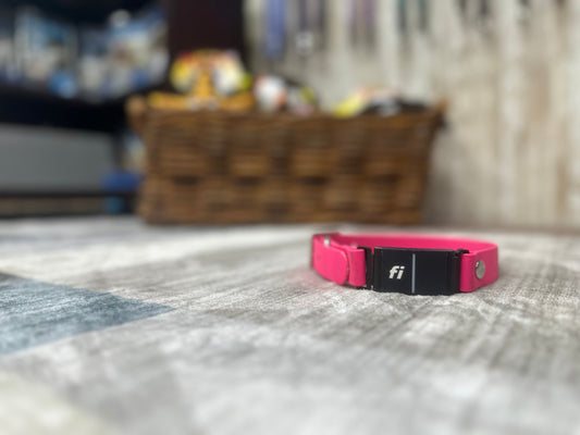Fi Collar