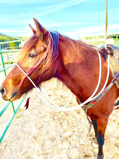 Loping Hackamore: Turquoise or Natural Colored
