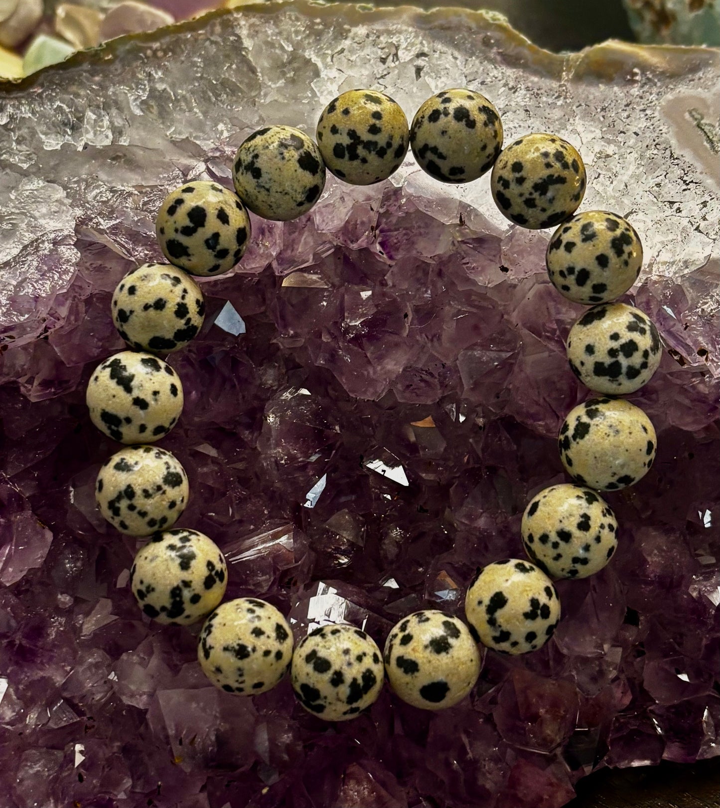 Dalmatian Jasper Gemstone Bracelet for Joy & Grounding | 8mm, 10mm, 12mm Beads