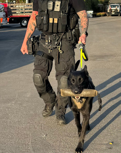 K9R - Kiloniner TUG-N-TRAIN Tug Toy