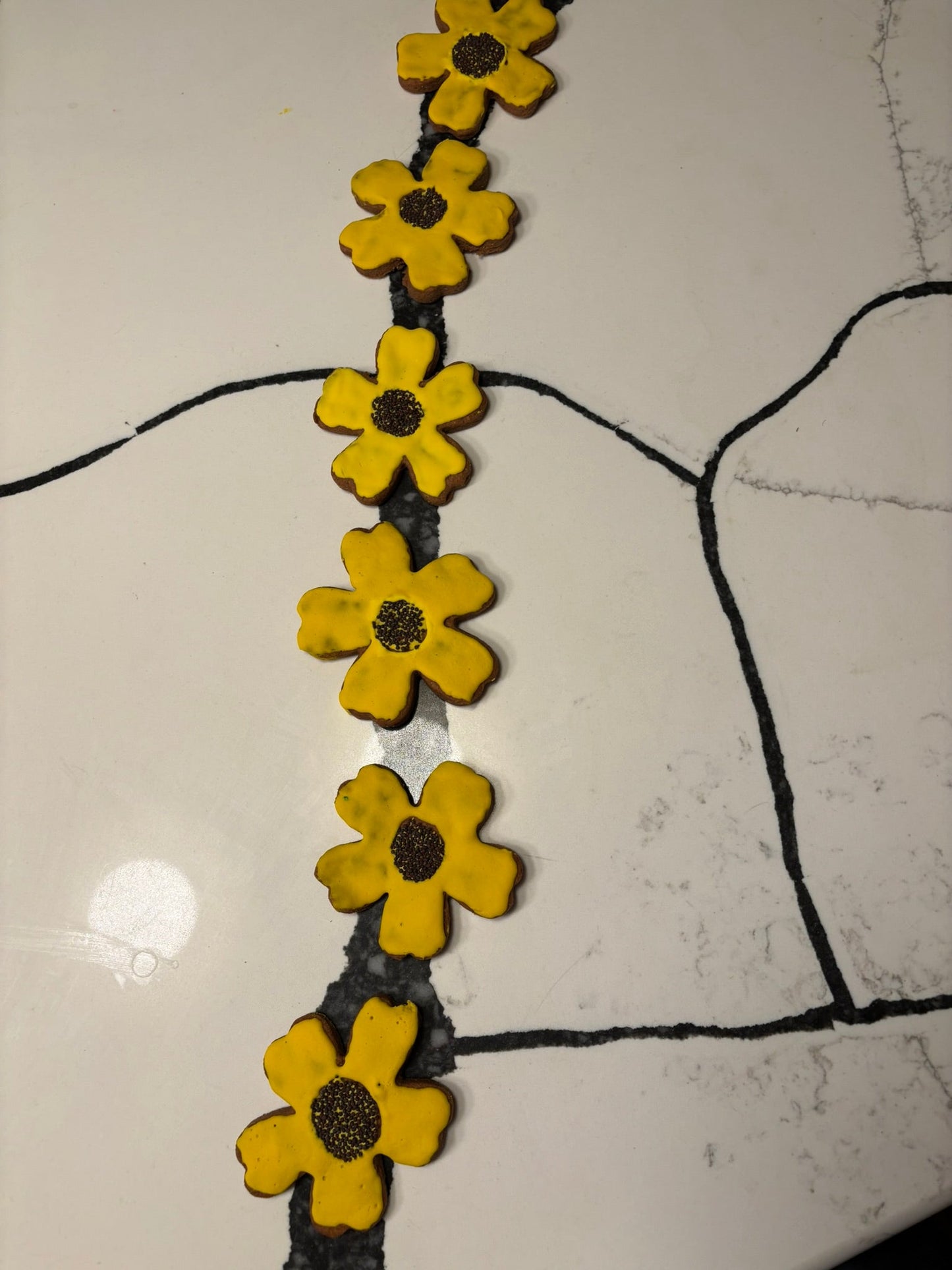 Sunflower Organic Dog Cookies