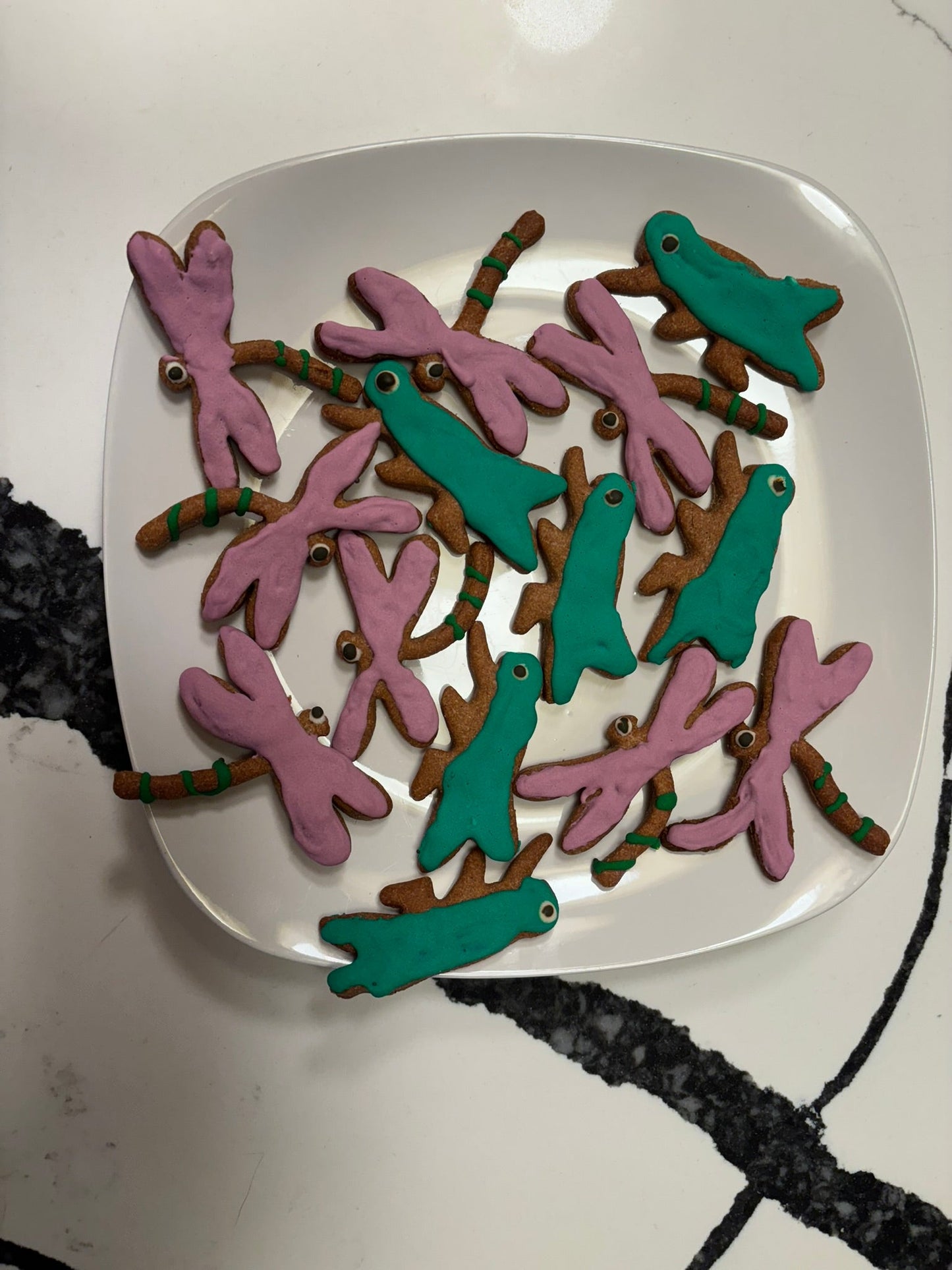 DRAGONFLY & GRASSHOPPER COOKIES