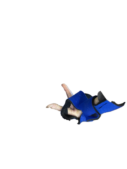 Birdy Bootie (chicken shoes, chicken booties, duck booties and goose shoes) - Triathlete Store