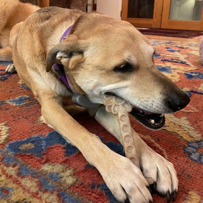 Flower Tower Nylon Chew Toy for Aggressive Chewers - USA Made Enrichment Toy