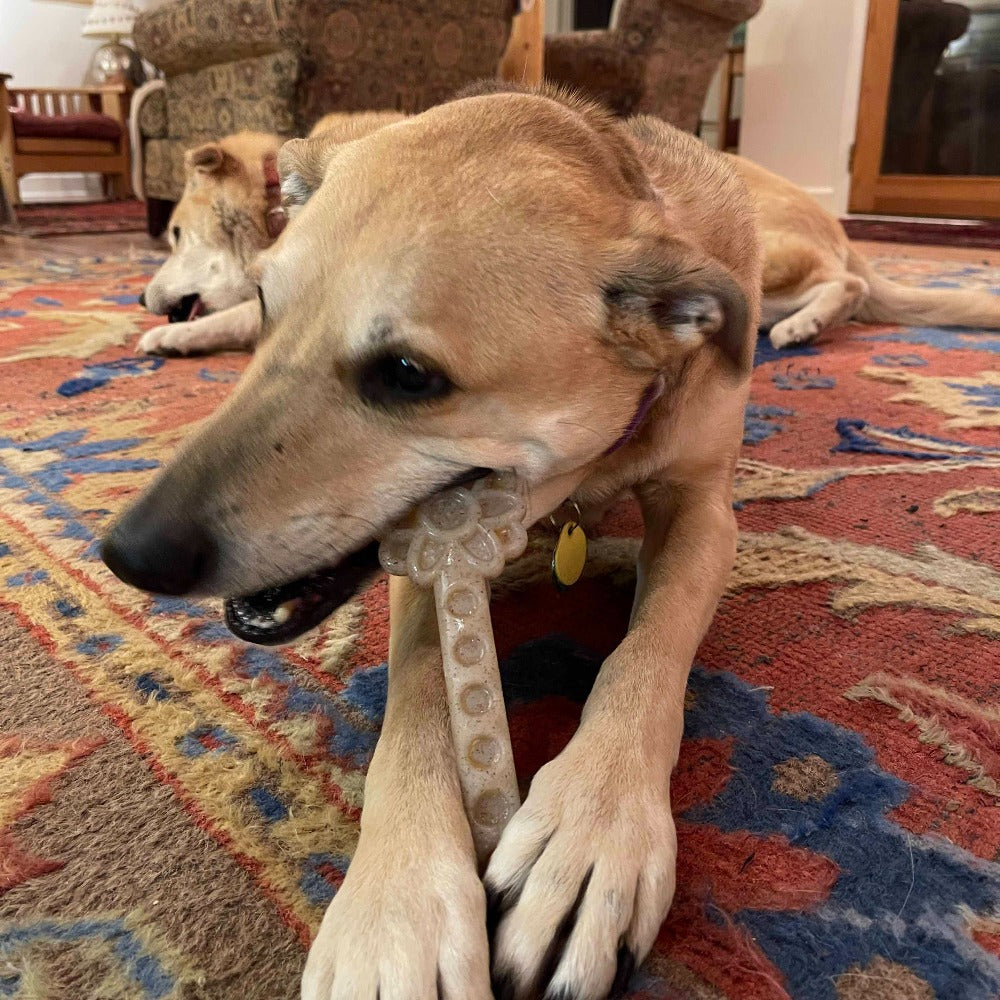 Flower Tower Nylon Chew Toy for Aggressive Chewers - USA Made Enrichment Toy