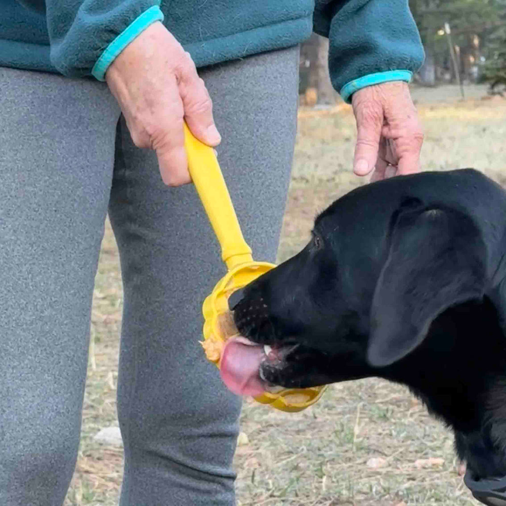 Lick Stick Hand-Held Dog Enrichment Toy - Interactive Lick Stick | USA Made
