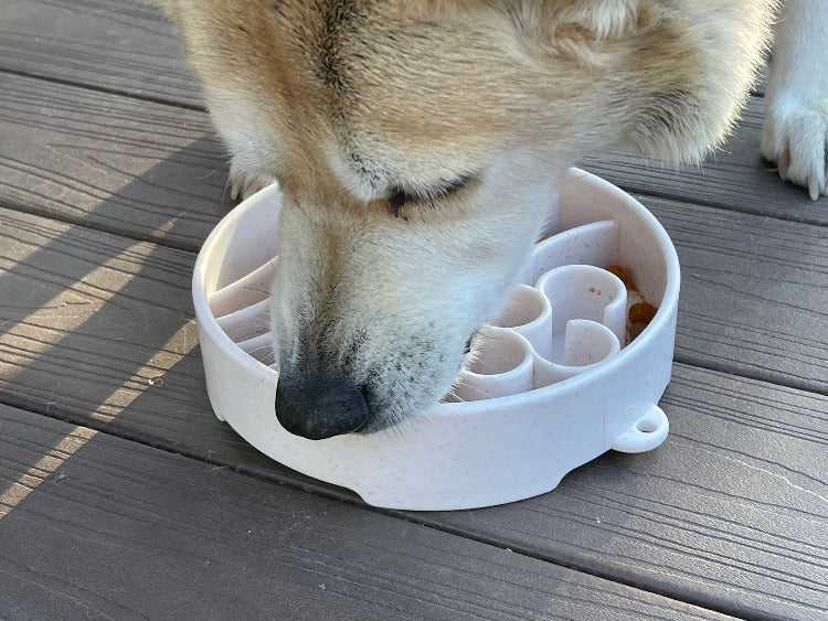 Java eBowl Deep Slow Feeder Dog Bowl for Enrichment | USA Made