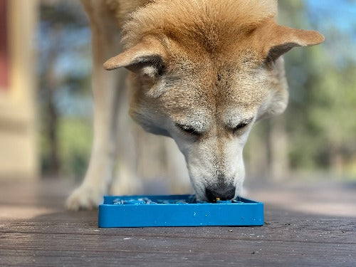 Waiting Dogs eTray - Shallow Slow Feeder Bowl for Enrichment | USA Made