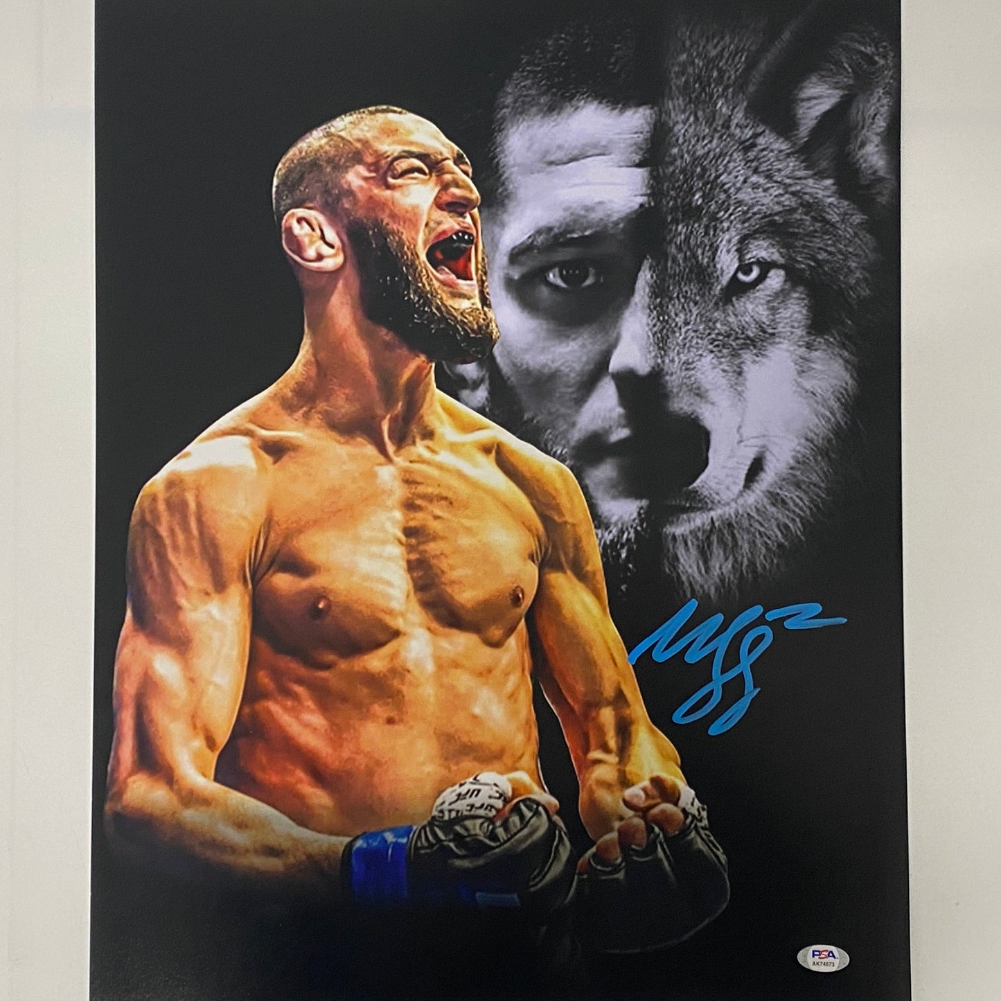 Autographed/Signed Khamzat Borz Chimaev UFC MMA Ultimate Fighting 16x20 Photo PSA/DNA COA