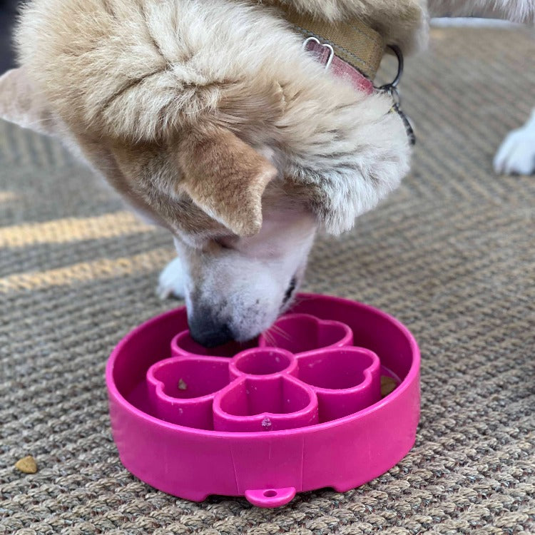Flower eBowl Deep Slow Feeder Dog Bowl for Enrichment | USA Made