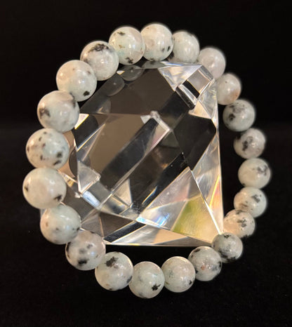 🟢 Sesame Kiwi Jasper Bracelet – 8mm Beads, Medium Wrists