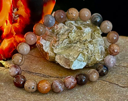 🌳 Petrified Wood Bracelet – 8mm Beads, Medium Wrists