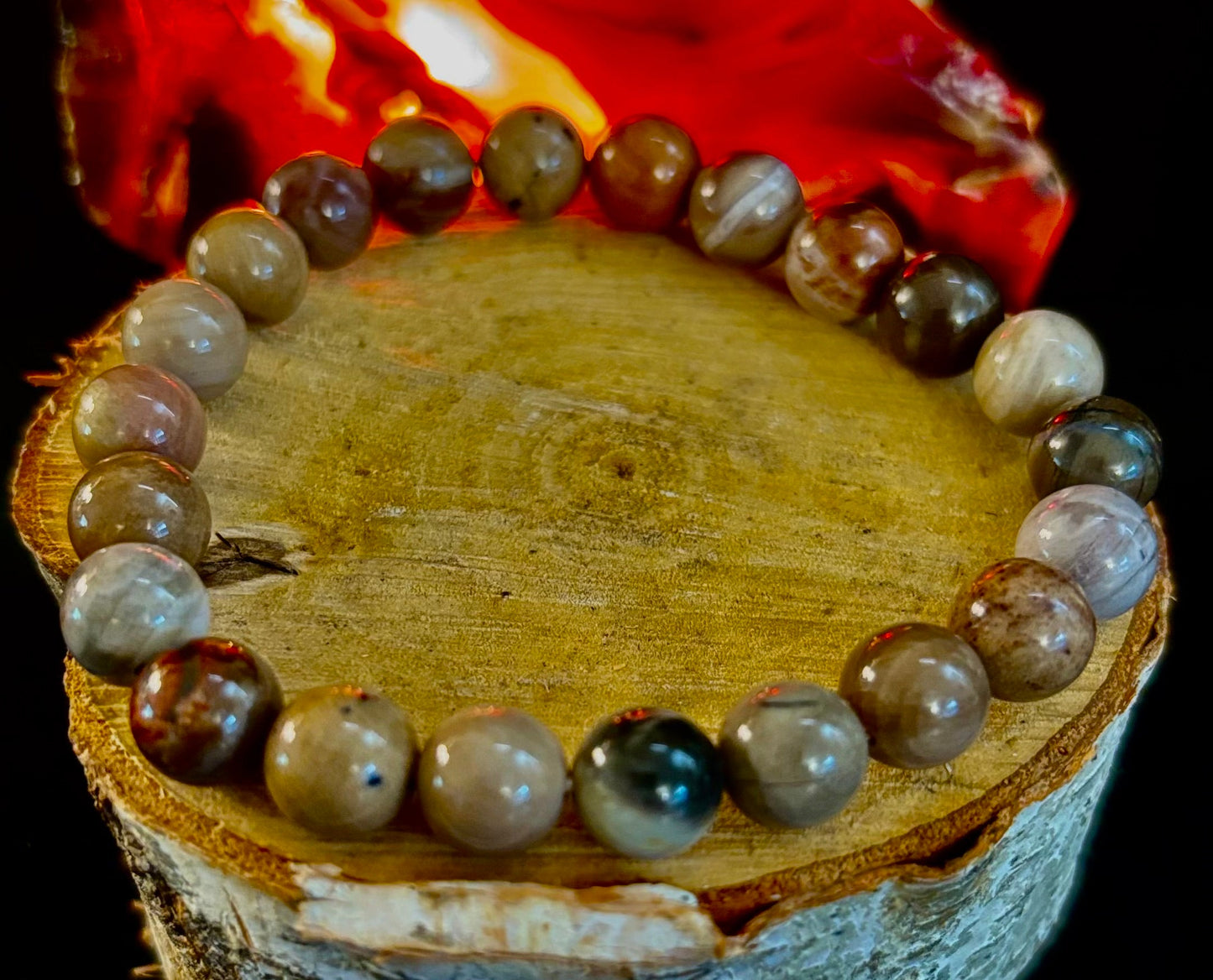 🌳 Petrified Wood Bracelet – 8mm Beads, Medium Wrists