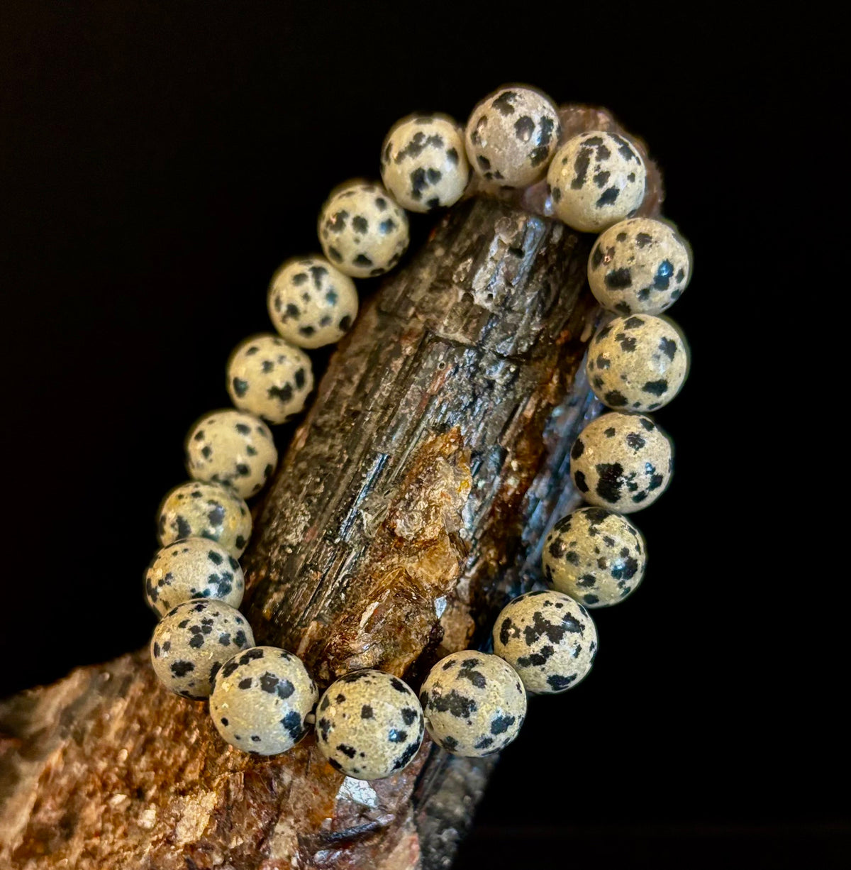 Reiki-Infused Natural Dalmatian Jasper Bracelet for Grounding, Inner Child Joy & Overthinking Relief (8mm, 10mm & 12mm)