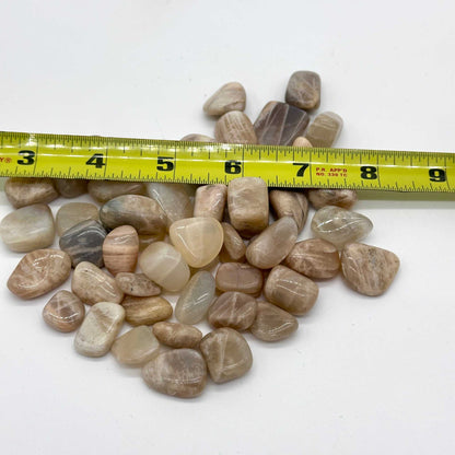 Multi-Color Moonstone Tumbled Stone - The Traveler's Stone