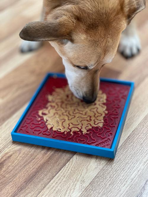 Hold 'em Suction Cup Holder for Dog Bowls & Lick Mats | USA Made