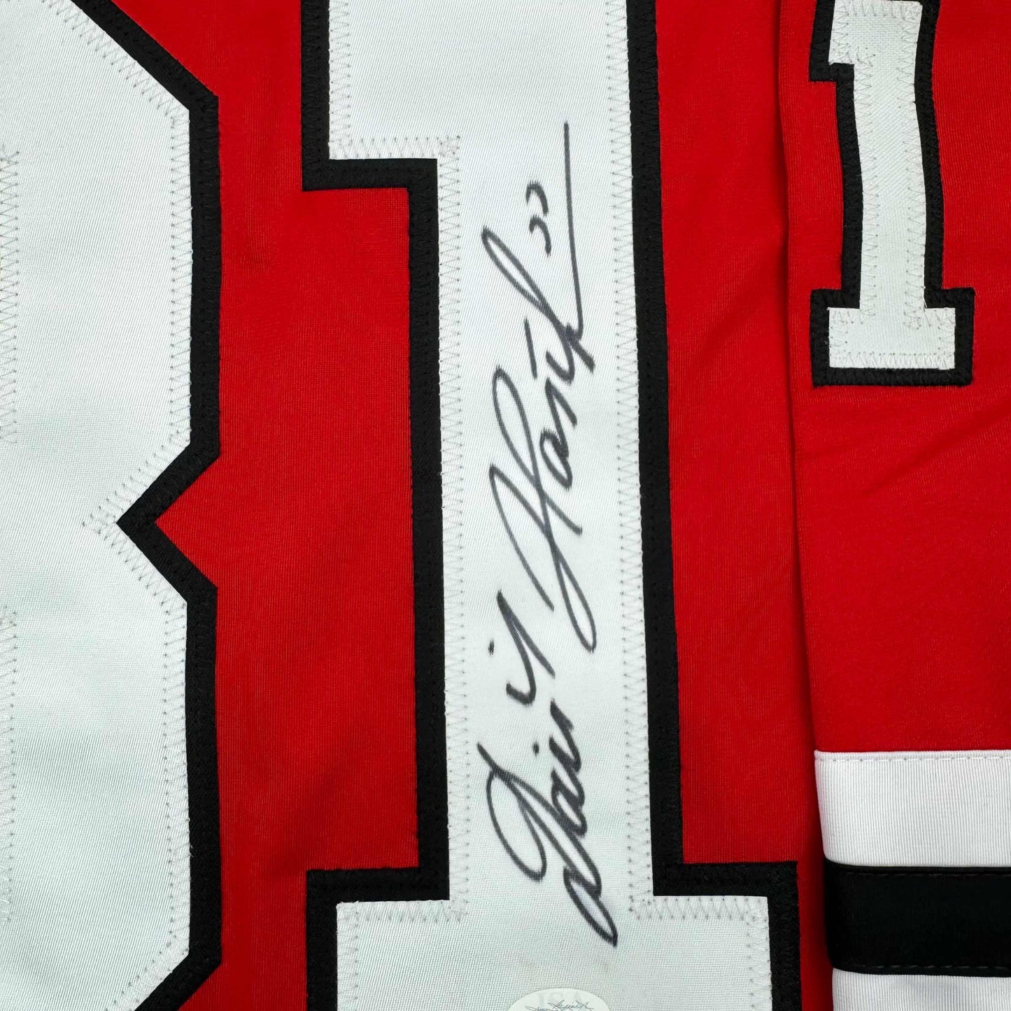 Framed Autographed/Signed Dominik Hasek 35x39 Chicago Red Hockey Jersey JSA COA