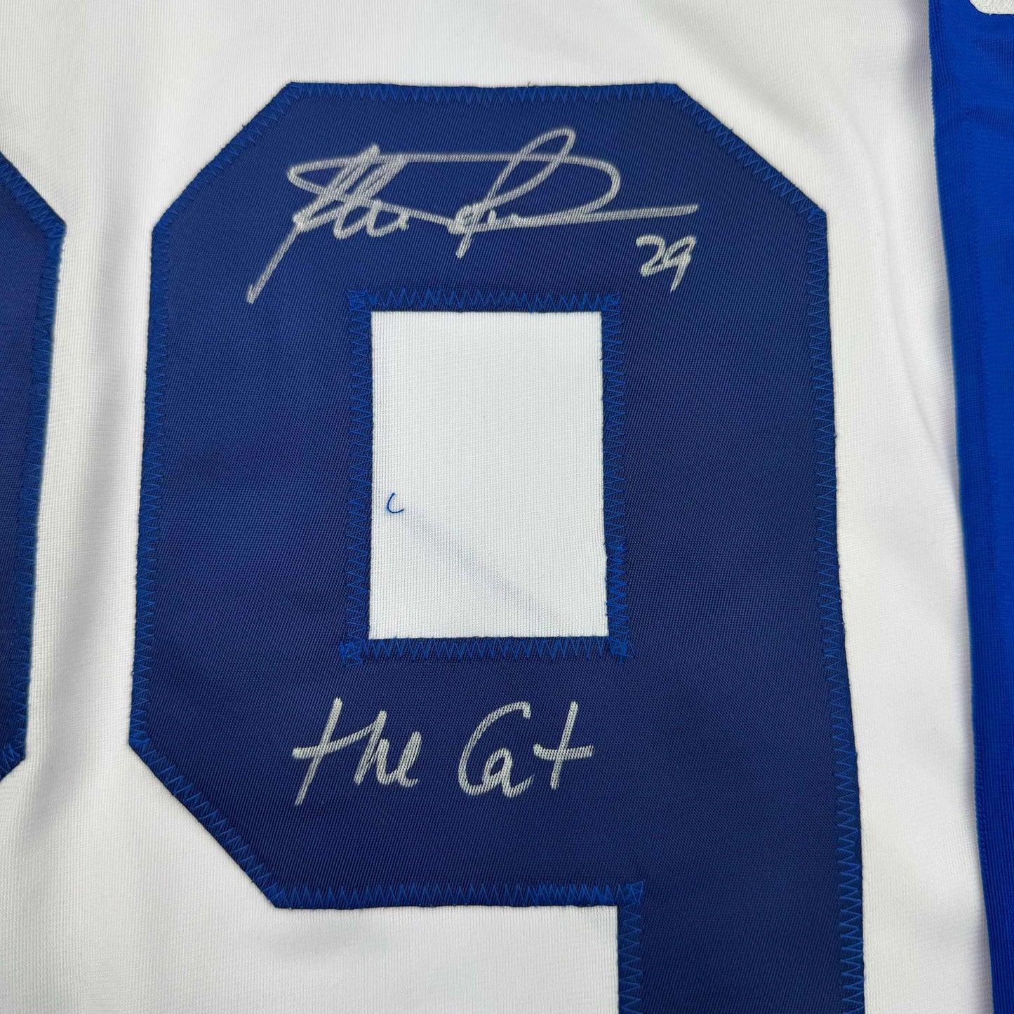 Framed Autographed/Signed Felix Potvin The Cat 35x39 Toronto White Hockey Jersey JSA COA