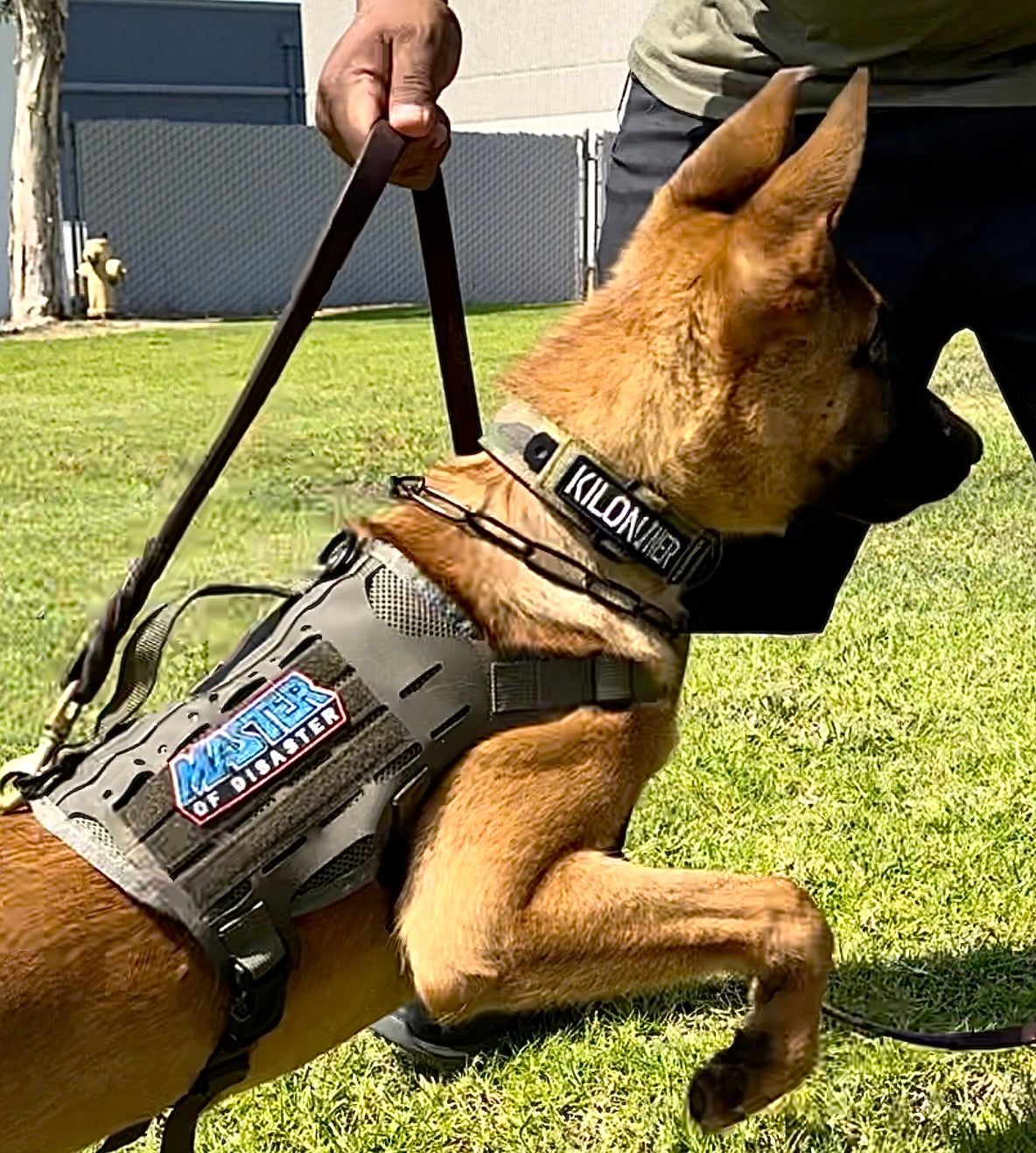 Master of Disaster Morale Patch