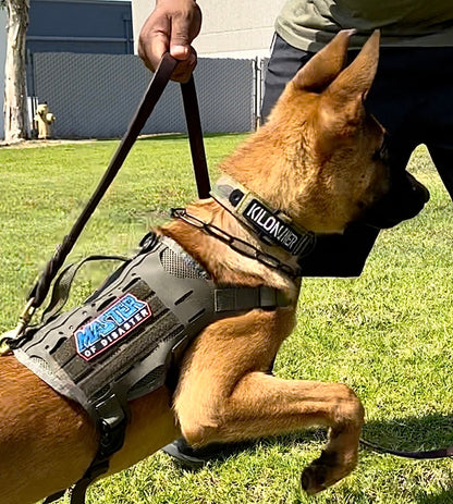 Master of Disaster Morale Patch