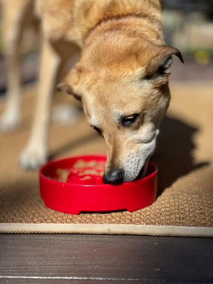 Santa Christmas eBowl Deep Slow Feeder Dog Bowl for Enrichment | USA Made