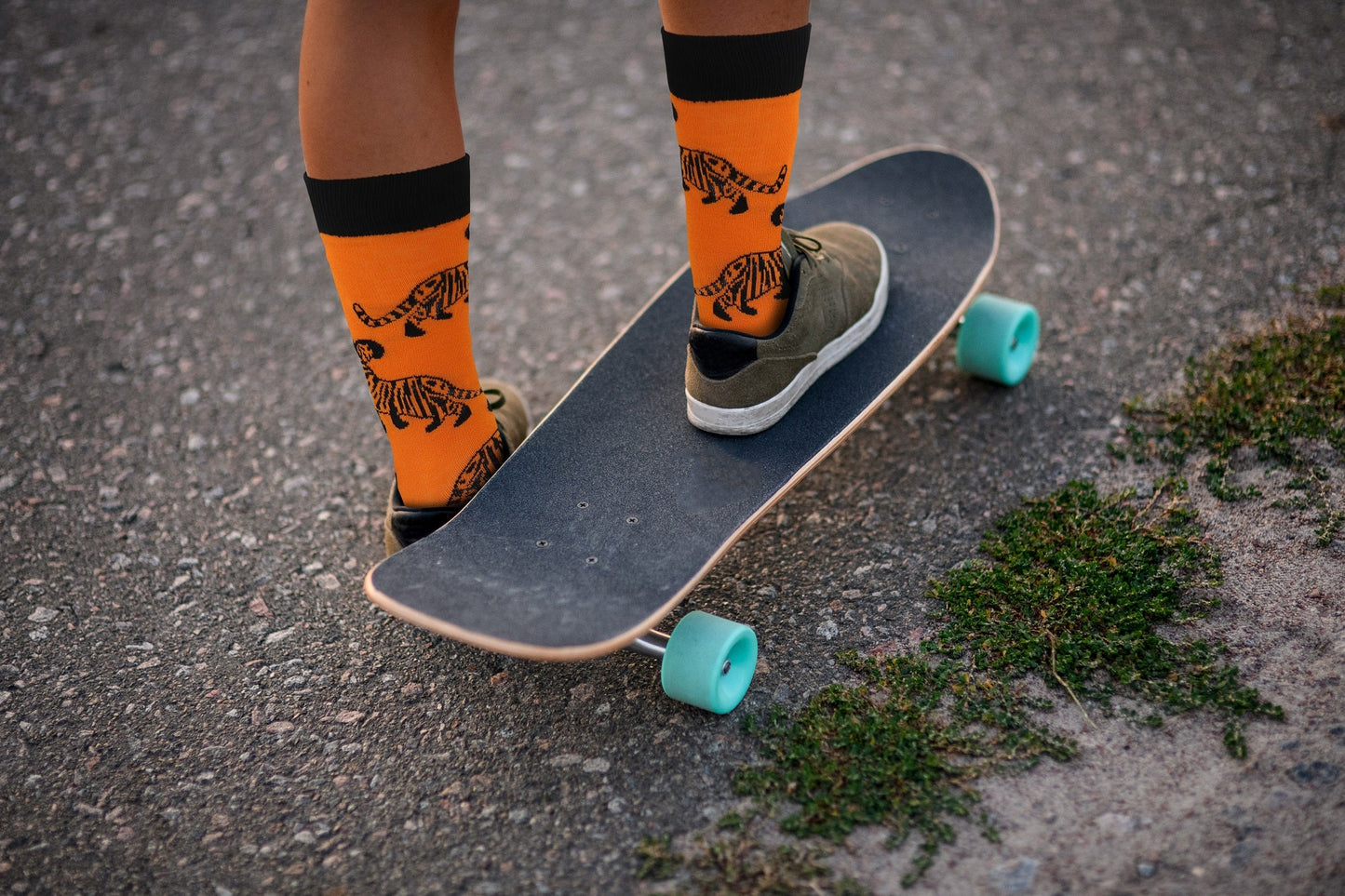 Ancient Tiger Socks - Comfy Cotton Socks for Men & Women