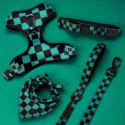 Ichimatsu Checker Collar